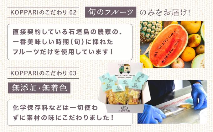 《先行予約》フローズンカットマンゴー400g【2026年6月より順次発送】 |冷凍 マンゴー 沖縄県産 南国フルーツ 冷凍フルーツ 果物 沖縄県石垣市 送料無料 EF-3