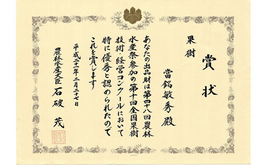 【農林水産大臣賞受賞】【予約受付】當銘さんグループのスナックパイン２．２ｋｇ（２玉～５玉）【2026年4月20日より順次発送予定】YK-2