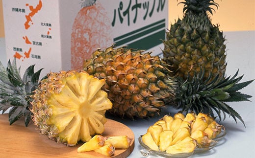 【予約受付】【農林水産大臣賞受賞】當銘さんグループのスナックパイン４．４ｋｇ（４玉～１０玉）【2024年4月15日から順次発送】YK-1