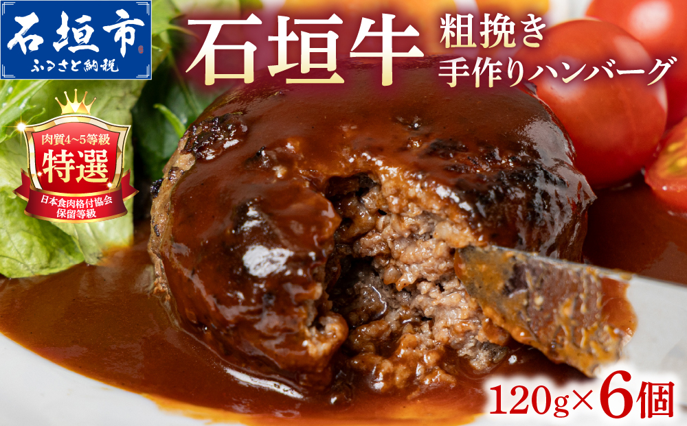 担たん亭 石垣牛 手作り粗挽きハンバーグ 720g (120g×6個) TA-008