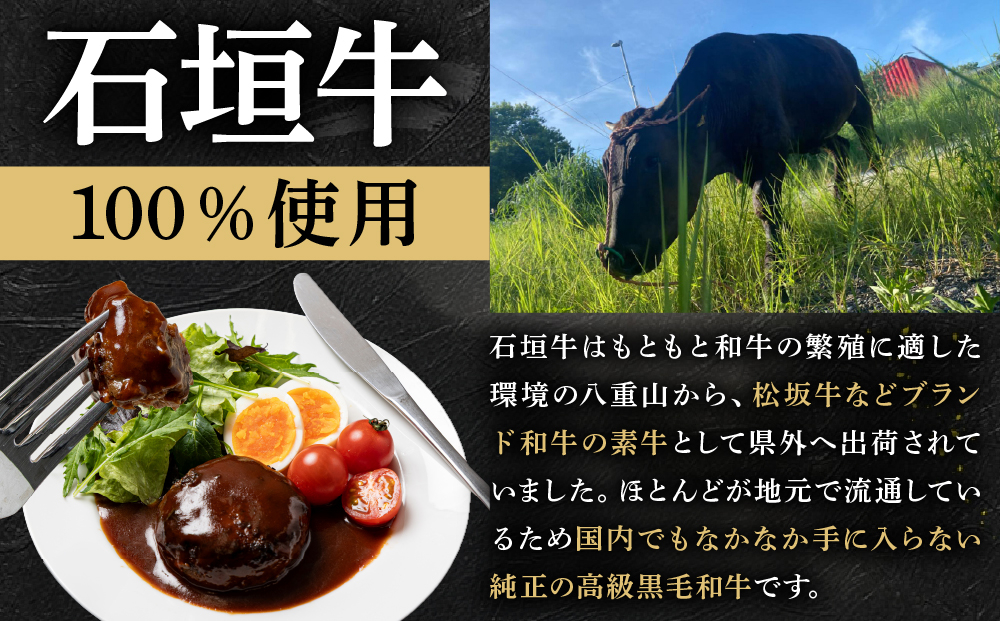担たん亭 石垣牛 手作り粗挽きハンバーグ 720g (120g×6個) TA-008