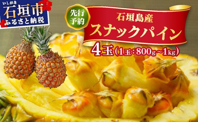 ＜先行予約＞ スナックパイン 4玉 ＜2026年4月発送＞ | 沖縄県 石垣市 石垣島産 パイン パイナップル ZH-018