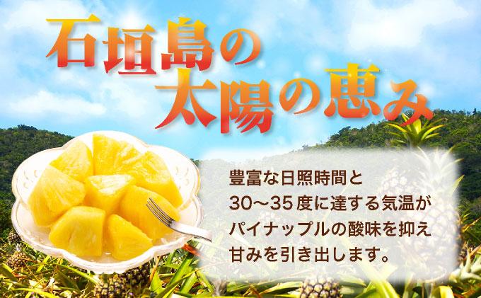 ＜先行予約＞ ピーチパイン 4玉 ＜2026年4月発送＞ | 沖縄県 石垣市 石垣島産 パイン パイナップル ZH-017