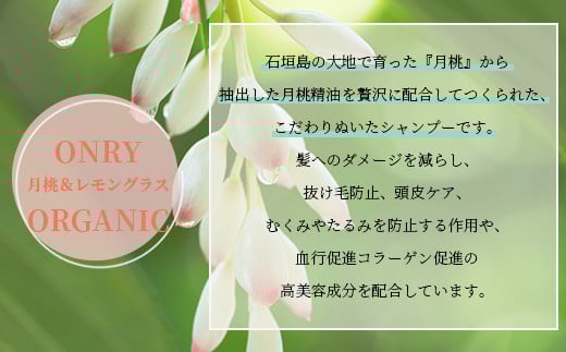 オーガニックオンリーシャンプー  【 美容 石鹸 オーガニック 無添加 】 OR-1 