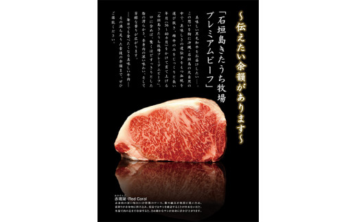 AM-4-1 縺阪◆縺縺。繝励Ξ繝溘い繝繝薙シ繝輔縺励c縺カ縺励c縺カシ医Δ繝「シ500ス