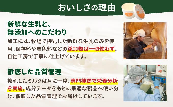 まぁじゅん牧場のフローズンヨーグルトセット 5種詰め合わせ 10個入り (プレーン マンゴー パッションフルーツ パイナップル シークヮーサー) | アイスクリーム トロピカルフルーツ スイーツ 沖縄県石垣市 贈答品