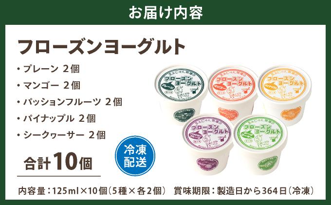 まぁじゅん牧場のフローズンヨーグルトセット 5種詰め合わせ 10個入り (プレーン マンゴー パッションフルーツ パイナップル シークヮーサー) | アイスクリーム トロピカルフルーツ スイーツ 沖縄県石垣市 贈答品