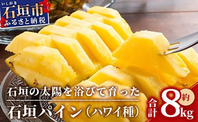 ＜先行受付＞石垣パイン ハワイ種 6個セット＜2026年7月上旬発送＞ | パイナップル パインアップル 石垣島パイン フルーツ 果物 くだもの 南国フルーツ 国産パイン MI-7-1