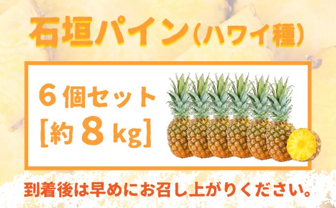 ＜先行受付＞石垣パイン ハワイ種 6個セット＜2026年7月上旬発送＞ | パイナップル パインアップル 石垣島パイン フルーツ 果物 くだもの 南国フルーツ 国産パイン MI-7-1