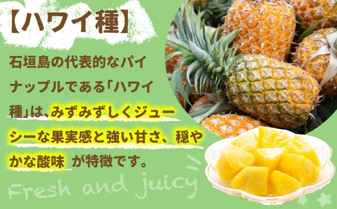 ＜先行受付＞石垣パイン ハワイ種 6個セット＜2026年7月上旬発送＞ | パイナップル パインアップル 石垣島パイン フルーツ 果物 くだもの 南国フルーツ 国産パイン MI-7-1
