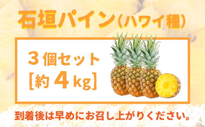 ïŒå
è¡åä»ïŒç³å£ãã€ã³ ãã¯ã€çš® 3åã»ããïŒ2026幎7æäžæ¬çºéïŒ | ãã€ãããã« ãã€ã³ã¢ããã« ç³å£å³¶ãã€ã³ ãã«ãŒã æç© ãã ãã® ååœãã«ãŒã åœç£ãã€ã³ MI-6-1