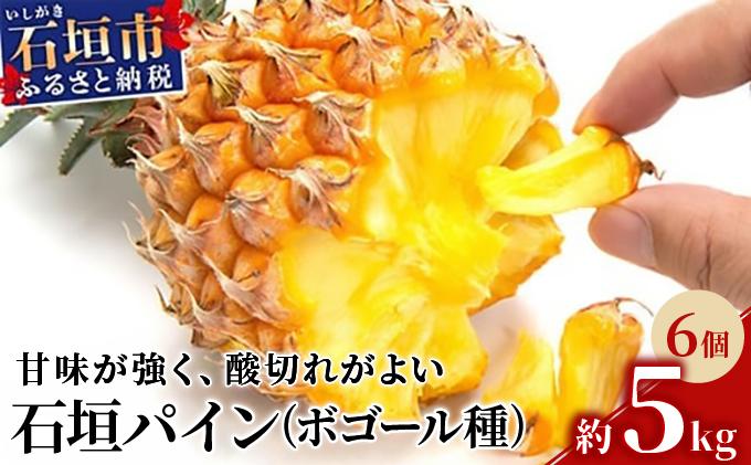 ＜先行受付＞ 石垣パイン 6個セット ボゴール種 ＜2026年5月初旬以降発送＞ | パイナップル パインアップル 石垣島パイン フルーツ 果物 くだもの 南国フルーツ 国産パイン MI-005