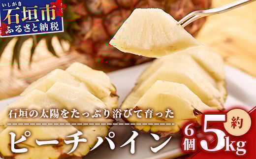 ＜先行受付＞ 石垣パイン ピーチ種 6個セット ＜2026年5月初旬～6月初旬発送予定＞ | パイナップル パインアップル 石垣島パイン フルーツ 果物 くだもの 南国フルーツ 国産パイン