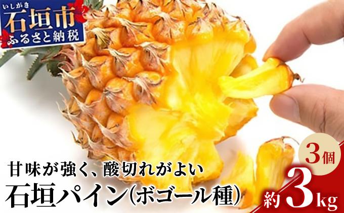 ＜先行受付＞ 石垣パイン 3個セット ボゴール種 ＜2026年5月初旬以降発送＞ | パイナップル パインアップル 石垣島パイン フルーツ 果物 くだもの 南国フルーツ 国産パイン MI-004