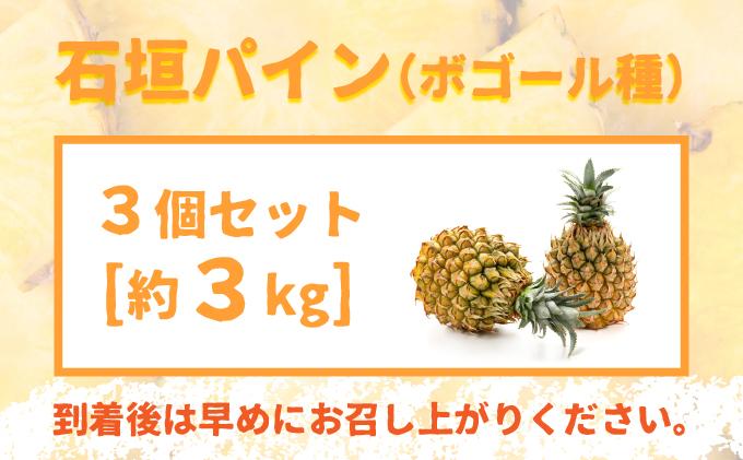 ＜先行受付＞ 石垣パイン 3個セット ボゴール種 ＜2026年5月初旬以降発送＞ | パイナップル パインアップル 石垣島パイン フルーツ 果物 くだもの 南国フルーツ 国産パイン MI-004