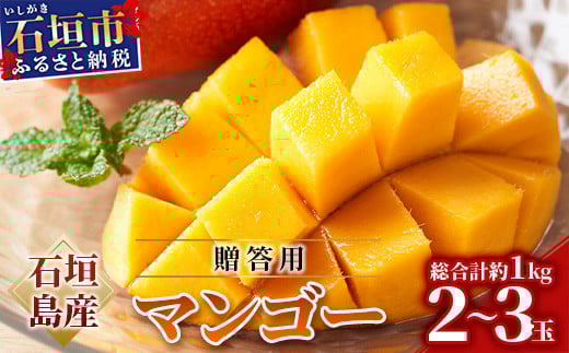 ＜先行予約＞ 石垣島産マンゴー (アーウィン種) 約1kg (2～3玉) 贈答用 ＜2026年6月順次発送＞ | ふるさと納税 マンゴー フルーツ 果物 アップルマンゴー アーウィン 贈答 JAおきなわ JA 沖縄県 石垣市 石垣島 ふるさと 人気 送料無料 AE-5-1