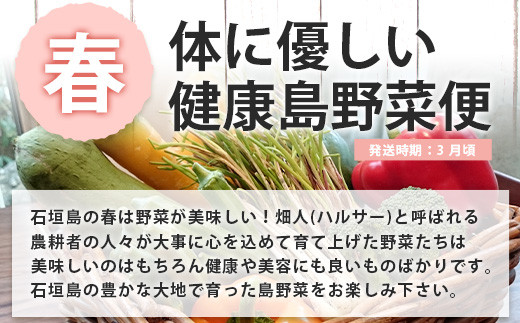 【4回/年定期配送 石垣島のタカラモノ便】 SH-3 春夏秋冬のお楽しみ(野菜 鮮魚 フルーツ 肉 牛肉 豚肉 加工品 八重山そば かまぼこ マグロ 果物 パイン マンゴー 頒布会 セット 贈答 4ヵ月)