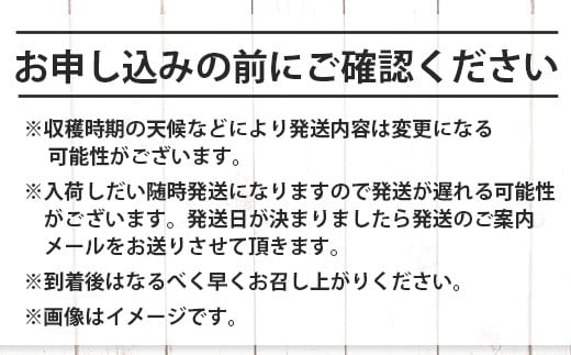 【4回/年定期配送 石垣島のタカラモノ便】 SH-3 春夏秋冬のお楽しみ(野菜 鮮魚 フルーツ 肉 牛肉 豚肉 加工品 八重山そば かまぼこ マグロ 果物 パイン マンゴー 頒布会 セット 贈答 4ヵ月)