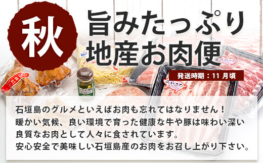 【4回/年定期配送 石垣島のタカラモノ便】 SH-3 春夏秋冬のお楽しみ(野菜 鮮魚 フルーツ 肉 牛肉 豚肉 加工品 八重山そば かまぼこ マグロ 果物 パイン マンゴー 頒布会 セット 贈答 4ヵ月)