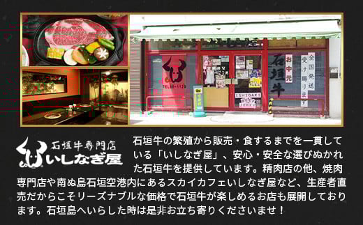 石垣牛ハンバーグ120g×10個【沖縄県 石垣市 高級 黒毛和牛 100％ 石垣牛 ビーフ ハンバーグ】AB-13-2