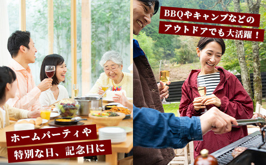 石垣牛ハンバーグ120g×10個【沖縄県 石垣市 高級 黒毛和牛 100％ 石垣牛 ビーフ ハンバーグ】AB-13-2