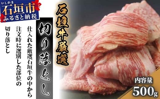 厳選 石垣牛 切り落とし 500g