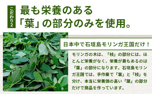 モリンガ２点セット１ MR-5-1