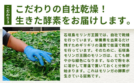 繝「繝ェ繝ウ繧ャ縺願ゥヲ縺暦シ鍋せ繧サ繝繝医MR-4-1