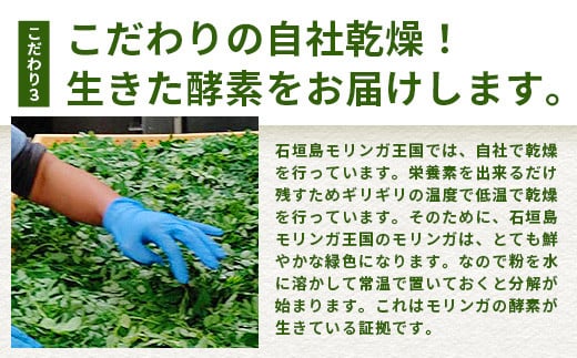 繝「繝ェ繝ウ繧ャ髱呈アシ医せ繝繧」繝繧ッ繧ソ繧、繝暦シ窺R-2-1