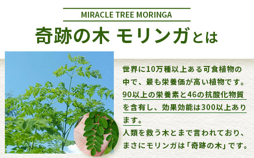 繝「繝ェ繝ウ繧ャ髱呈アシ医せ繝繧」繝繧ッ繧ソ繧、繝暦シ窺R-2-1