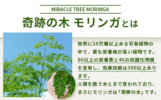 繝「繝ェ繝ウ繧ャ闌カシ医ユ繧」繝シ繝代ャ繧ッシ窺R-1-1