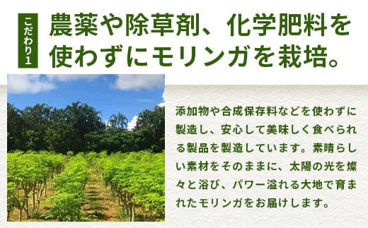 繝「繝ェ繝ウ繧ャ闌カシ医ユ繧」繝シ繝代ャ繧ッシ窺R-1-1