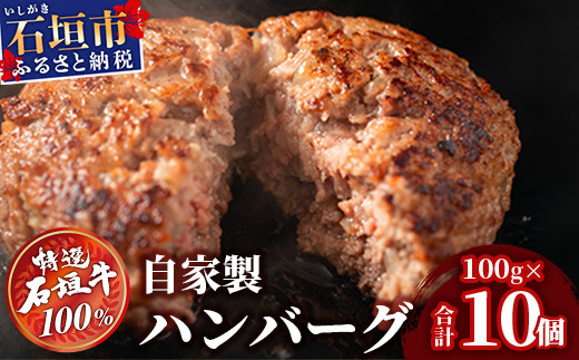 石垣牛 ハンバーグ ≪100g10個≫（八重山パーツミート）【 ビーフハンバーグ 手作り ハンバーグ いしがき牛ハンバーグ 石垣牛 】I-9
