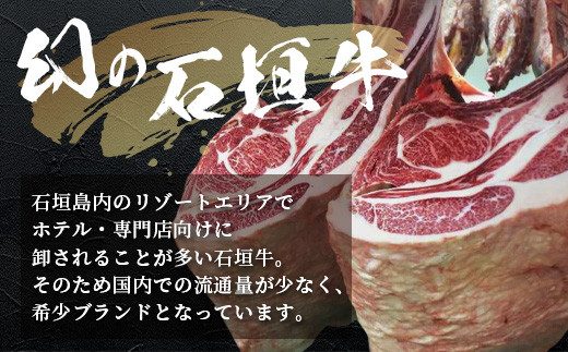 石垣牛 ハンバーグ ≪100g10個≫（八重山パーツミート）【 ビーフハンバーグ 手作り ハンバーグ いしがき牛ハンバーグ 石垣牛 】I-9 