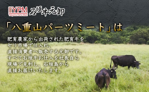 石垣牛 ハンバーグ ≪100g10個≫（八重山パーツミート）【 ビーフハンバーグ 手作り ハンバーグ いしがき牛ハンバーグ 石垣牛 】I-9 