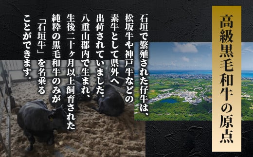 石垣牛 ハンバーグ ≪100g10個≫（八重山パーツミート）【 ビーフハンバーグ 手作り ハンバーグ いしがき牛ハンバーグ 石垣牛 】I-9 