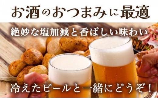 石垣の塩 島ナッツ 大×5袋