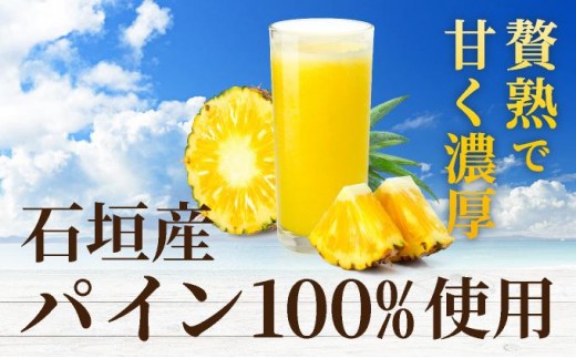 贅熟 石垣島産パインアップルジュース(100%) 500ml×1本