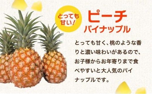 石垣島産フローズンパイナップル3種食べ比べセット