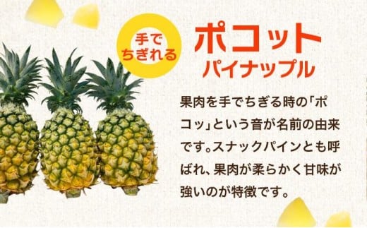 石垣島産フローズンパイナップル3種食べ比べセット