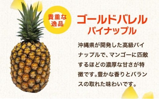 石垣島産フローズンパイナップル3種食べ比べセット