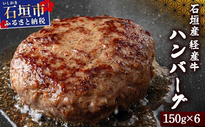 【2025年11月発送】石垣産経産牛ハンバーグ150g×6/箱 YC-08-11
