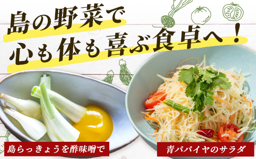 沖縄県 石垣島の野菜・フルーツBOX 1箱 ≪野菜4～5種類、フルーツ1~2種類≫ じょーとーまーさん(とても美味しい) 石垣島の野菜とフルーツの詰め合わせセットをお楽しみください！！CK-4｜沖縄 石垣島 直送 旬 果物 フルーツ 新鮮 島野菜 野菜セット 詰め合わせ CK-4