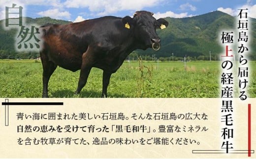 石垣島産経産黒毛和牛 焼肉セット【真空パック】 計 500g　NA-01