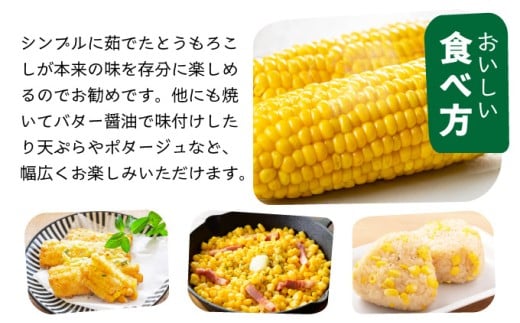 【先行予約2025年12月-2026年4月】 1番遅くて1番早い⁉ 朝採れプレミアムスイートコーンを皮付きのまま８本お届け！！