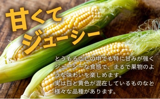 【先行予約2025年12月-2026年4月】 1番遅くて1番早い⁉ 朝採れプレミアムスイートコーンを皮付きのまま８本お届け！！