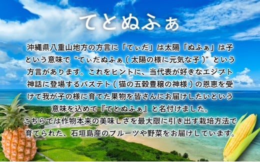【先行予約2025年12月-2026年4月】 1番遅くて1番早い⁉ 朝採れプレミアムスイートコーンを皮付きのまま８本お届け！！