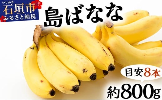 【先行予約 2026年5～10月順次発送】バナナ好きに届けたい！！届いてすぐ食べられる、もっちり食感がやみつきの希少な国産『プレミアム島ばなな』をお届け！！800g(約8本)