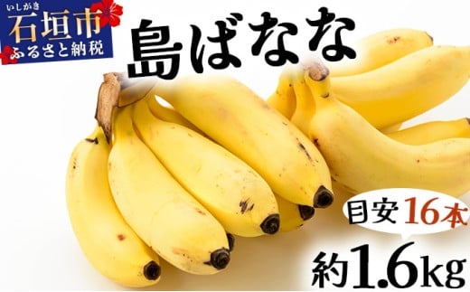 【先行予約 2026年5～10月順次発送】バナナ好きに届けたい！！届いてすぐ食べられる、もっちり食感がやみつきの希少な国産『プレミアム島ばなな』を大容量でお届け！！1.6kg(約16本)
