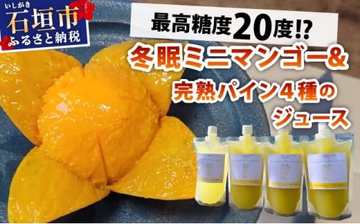 《8月以降順次発送》最高糖度20度！？冬眠ミニマンゴーと完熟パイン4種のジュース　よくばり詰め合わせ
